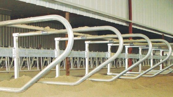 Ferrovias de pescoço flutuante e laços flexíveis Sistema de resistência livre de gado leiteiro para explorações duradouras