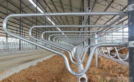 Localização do serviço local Nenhum Processo de soldagem utilizado para soluções de equipamento de produção de leite