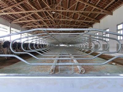 Localização do serviço local Nenhum Processo de soldagem utilizado para soluções de equipamento de produção de leite