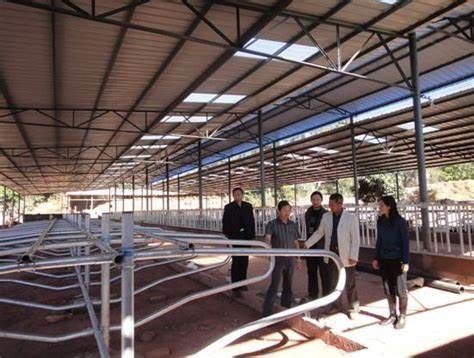 Localização do serviço local Nenhum Processo de soldagem utilizado para soluções de equipamento de produção de leite