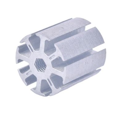 Stator/Rotor de motor elétrico personalizado para modelo de motocicleta com tratamento de superfície