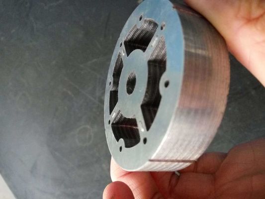 Estampagem de produção a granel personalizada Parte de camada solta Pin Rator Stator para processo Revit