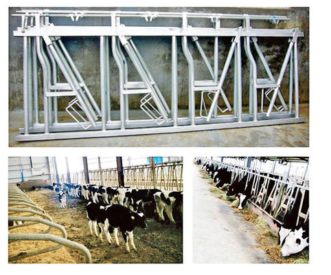 Largamente usado cerco de gado de aço galvanizado com acabamento de tinta de cor em Hebei Nanfeng