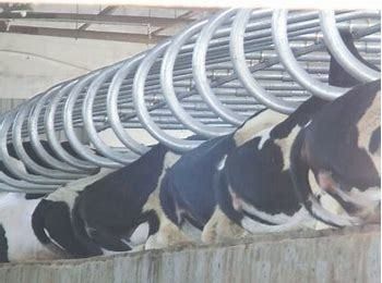 Largamente usado cerco de gado de aço galvanizado com acabamento de tinta de cor em Hebei Nanfeng